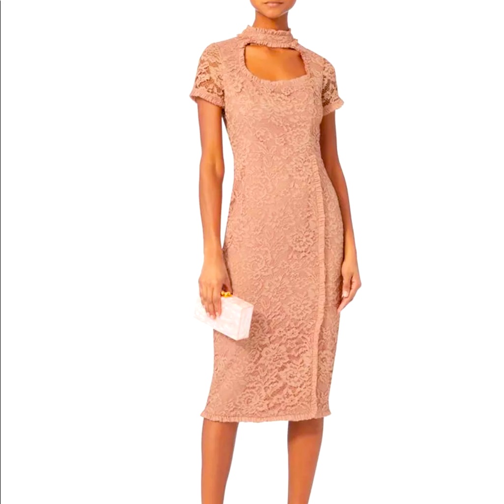 Alexis X Intermix *Zoelle* Pink Lace Midi Mid Length Dress S